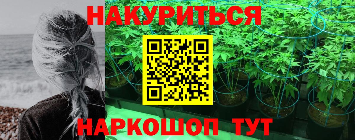 Шадринск  Каннабис ГИДРОПОН  Вход с VPN  МАРИХУАНА THC 21%  Каннабис Ganja 